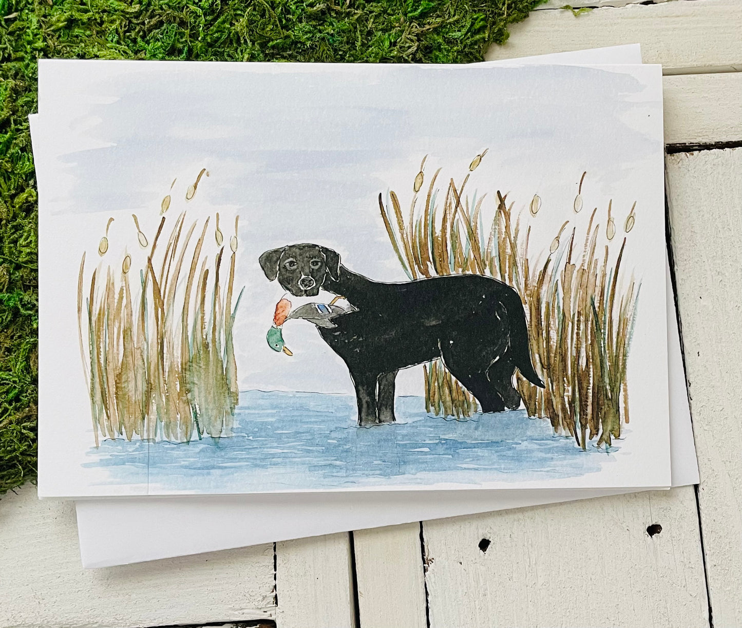 Country Animals Card Pack