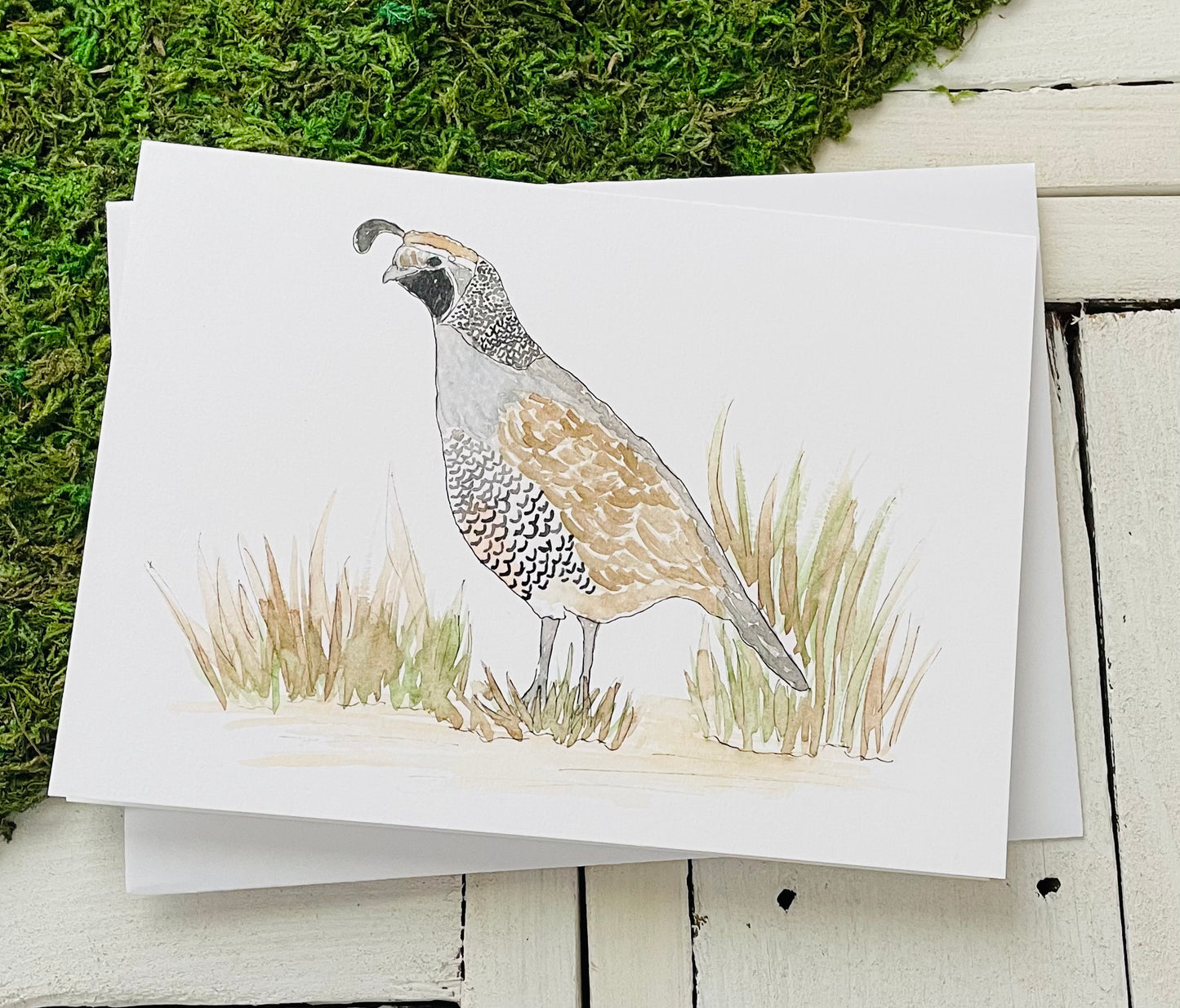 Country Animals Card Pack