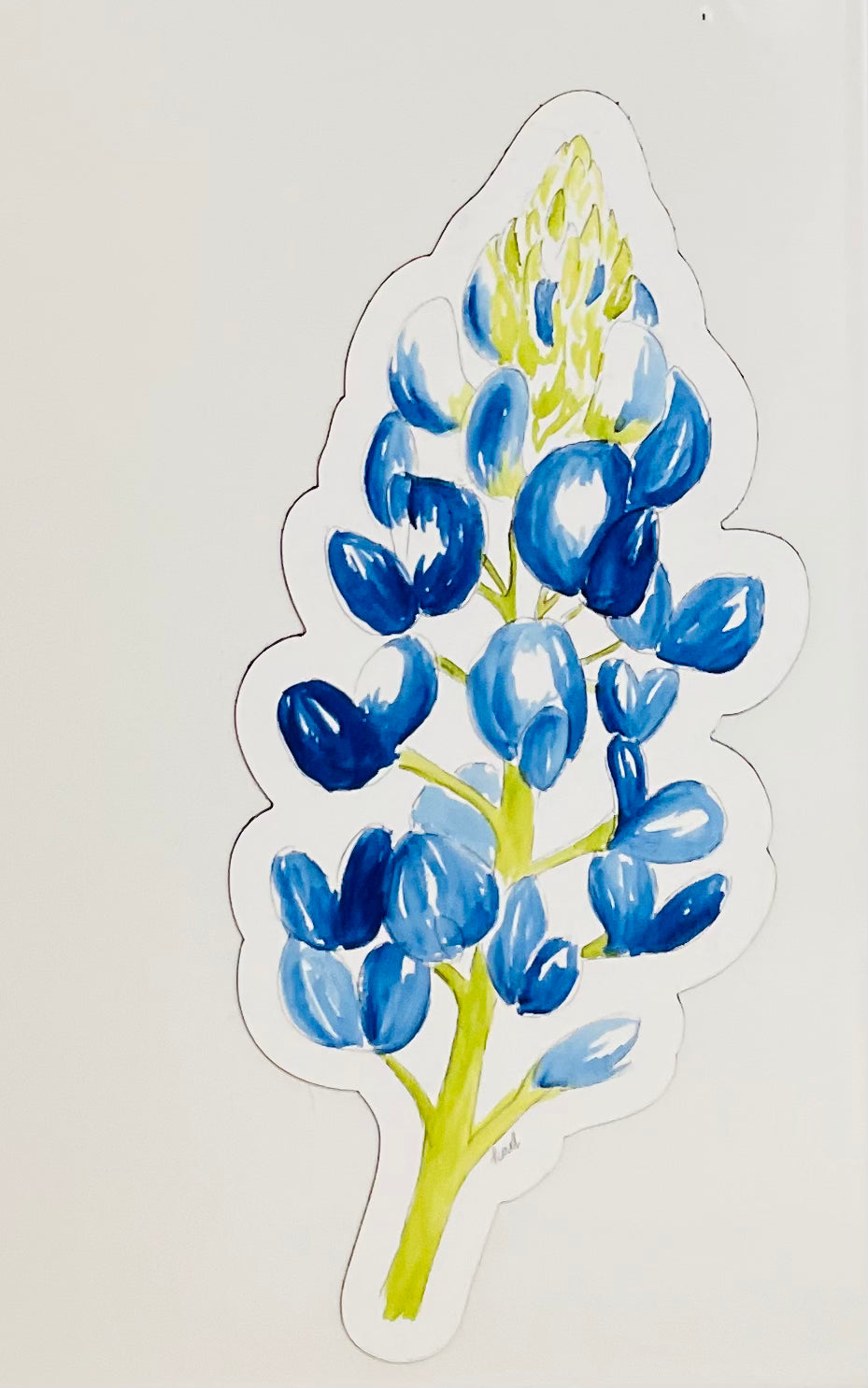 Bluebonnet Magnet