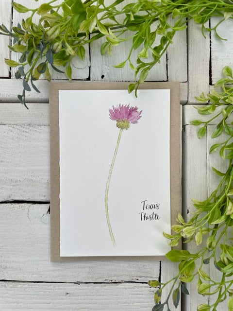 Texas Wildflower Mini Card Pack